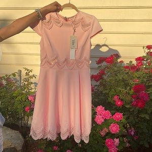 Beautiful baby pink Ted Baker dress. Bran new with tags.
